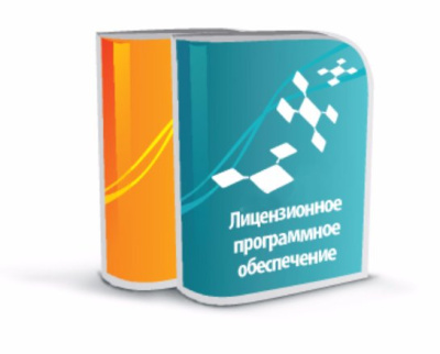 Лицензия на серверное программное обеспечение, без учета лицензий на Базовую радиостанцию Fenix в России